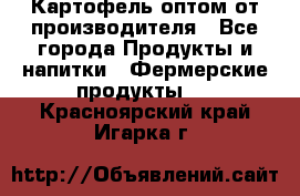 Картофель оптом от производителя - Все города Продукты и напитки » Фермерские продукты   . Красноярский край,Игарка г.